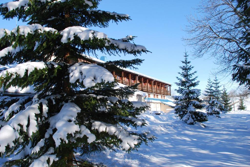 Foncine-le-Haut Hotel Le Grand Chalet מראה חיצוני תמונה